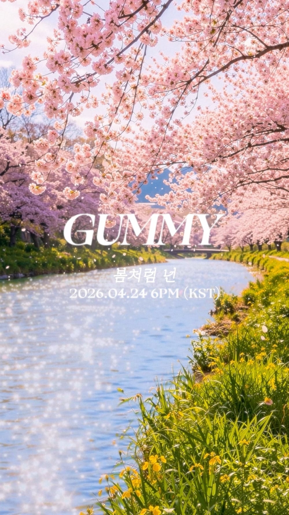 거미