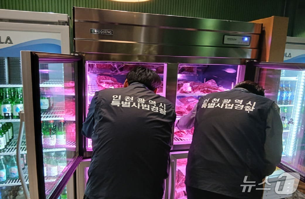 단속 사진 (인천시 제공.재판매 및 DB금지)