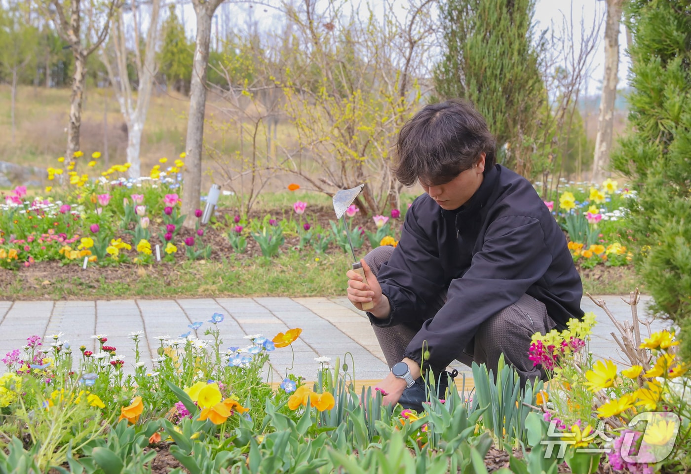 국립세종수목원 직원들이 꽃길 조성 작업을 하고 있다. (한국수목원정원관리원 제공.재판매 및 DB금지)/뉴스1