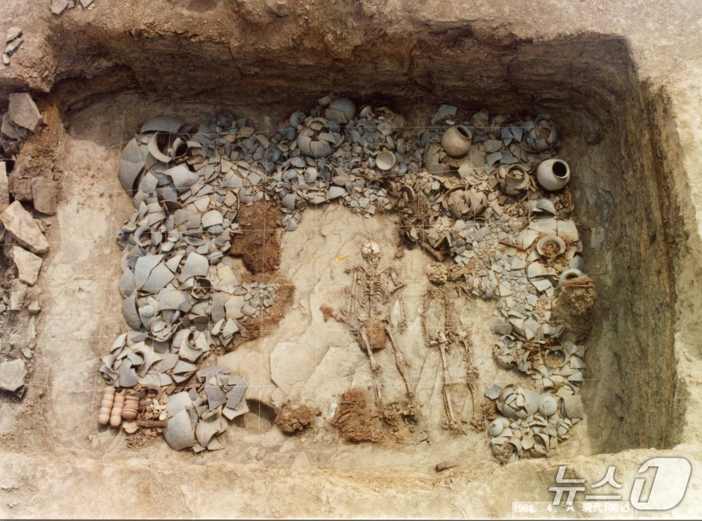 경산 압독국 조영동 고분군 인골 발굴 장면(경산시 제공. 재판매 및 DB금지)/뉴스1