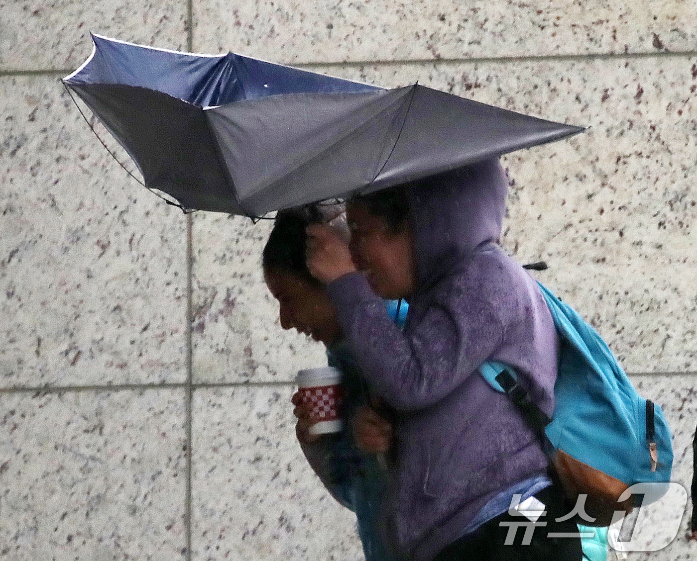 강풍에 우산을 부여잡고 힘겹게 발걸음을 옮기는 시민.  ⓒ 뉴스1 윤일지 기자