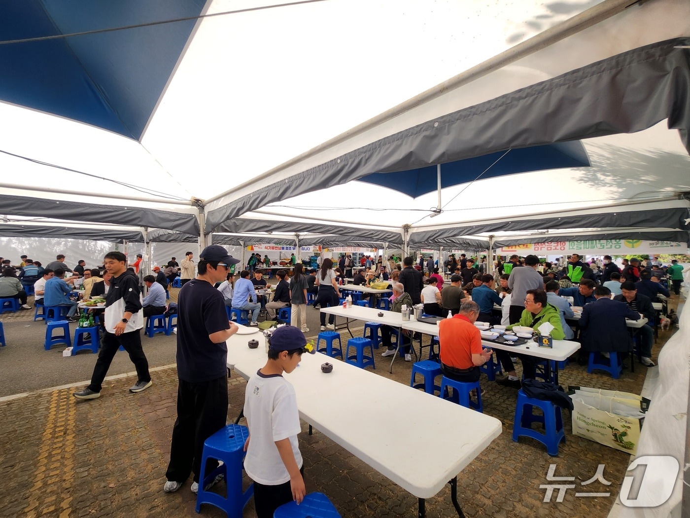 제8회 홍천 산나물축제가 1일 오전 도시산림공원 토리숲 행사장 특설무대에서 막을 올렸다.(홍천군 제공. 재판매 및 DB금지)/뉴스1
