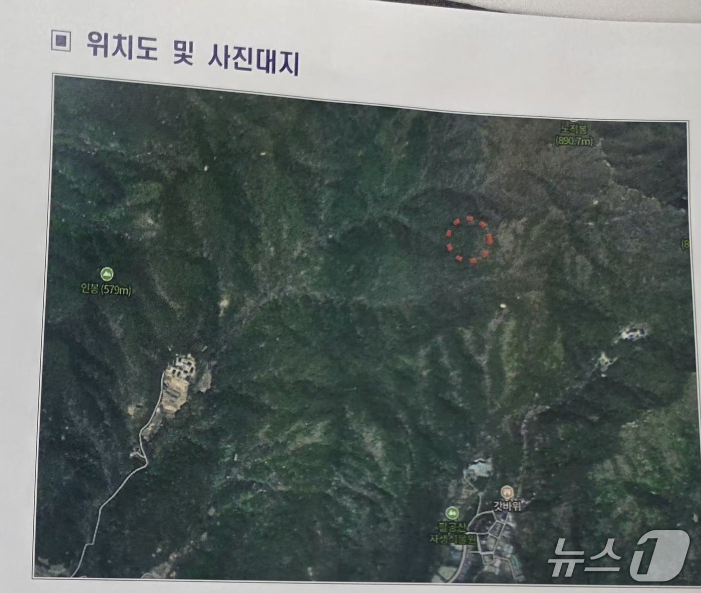 11일 낮 12시48분쯤 대구 동구 도학동 팔공산 갓바위 부근 7부 능선에 난 불이 1시간여 만에 주불이 잡혔다.(대구 동구 제공. 재판매 및 DB금지)