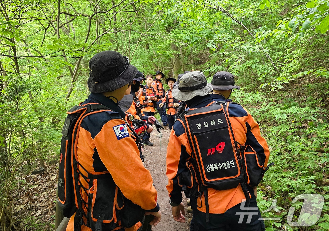 12일 오전 경북 산불특수대응단을 비롯한 경북소방 관계자들이 청송군 주왕산국립공원에서 실종된 13세 초등학생을 찾기 위한 수색을 재개하고 있다. (경북소방본부 제공. 재판매 및 DB 금지) 2026.5.12 ⓒ 뉴스1 공정식 기자