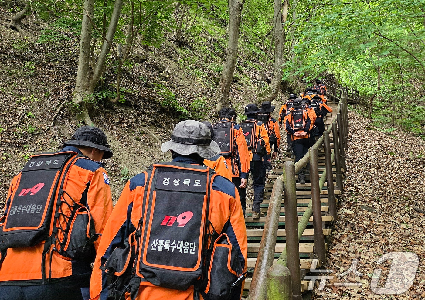 12일 오전 경북 산불특수대응단을 비롯한 경북소방 관계자들이 청송군 주왕산국립공원에서 실종된 13세 초등학생을 찾기 위한 수색을 재개하고 있다. (경북소방본부 제공. 재판매 및 DB 금지) 2026.5.12 ⓒ 뉴스1 공정식 기자