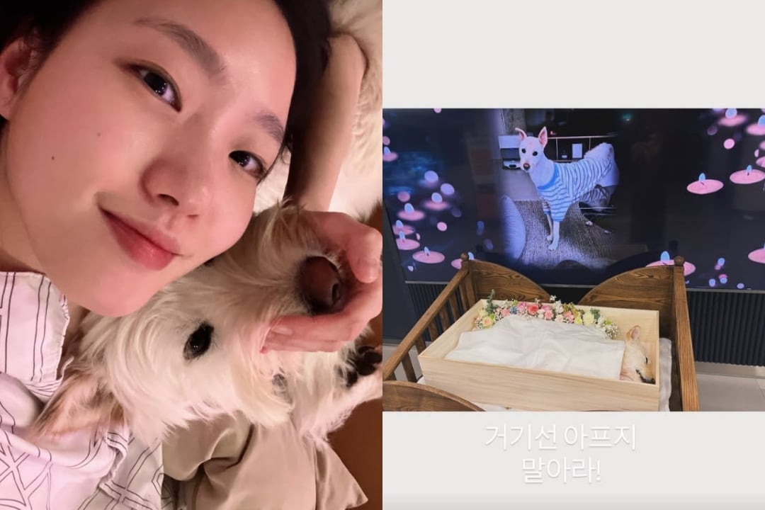김고은 인스타그램