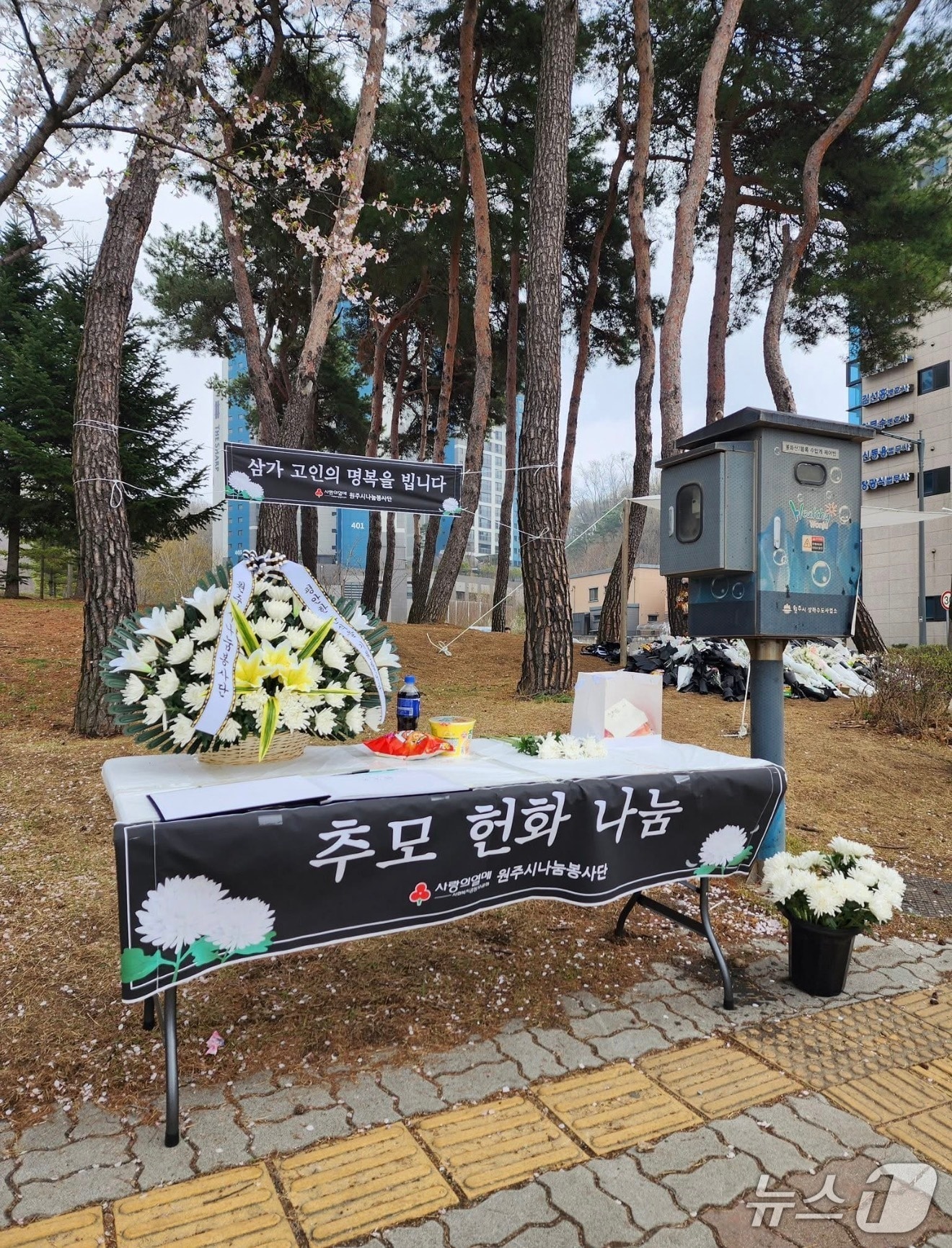 강원 원주 무실동의 한 사거리에 마련된 추모 공간 현장.(뉴스1 DB)