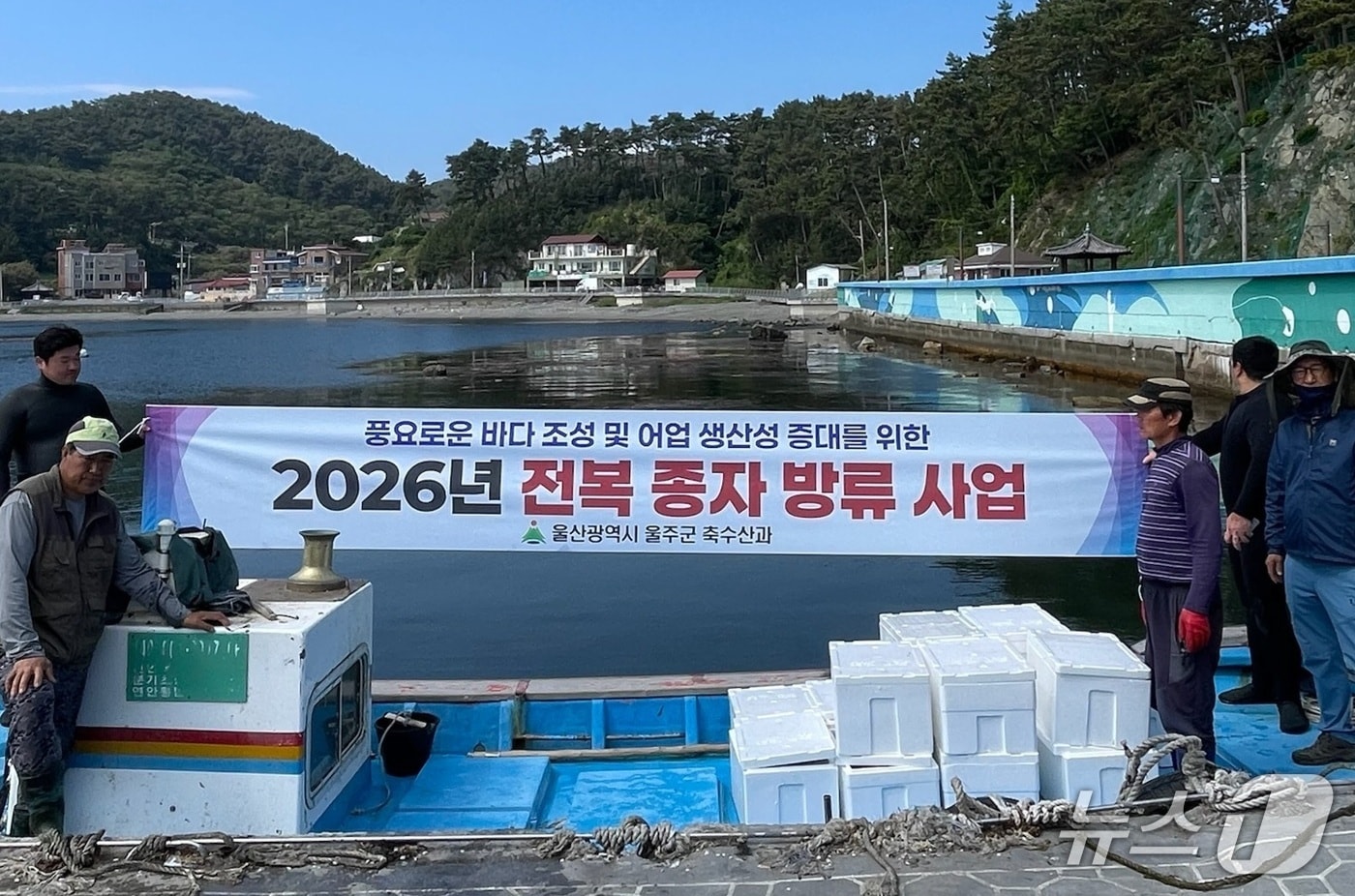 14일 울주군 어촌계 마을어장에서 전복종자 방류 행사가 열리고 있다. (울주군 제공. 재판매 및 DB 금지) /뉴스1