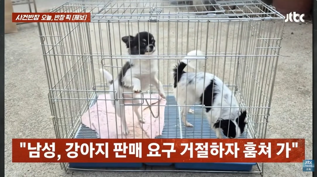 JTBC '사건반장'