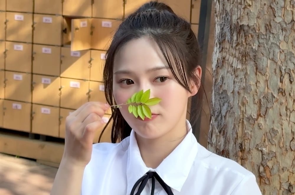 알비더블유(RBW), WM엔터테인먼트