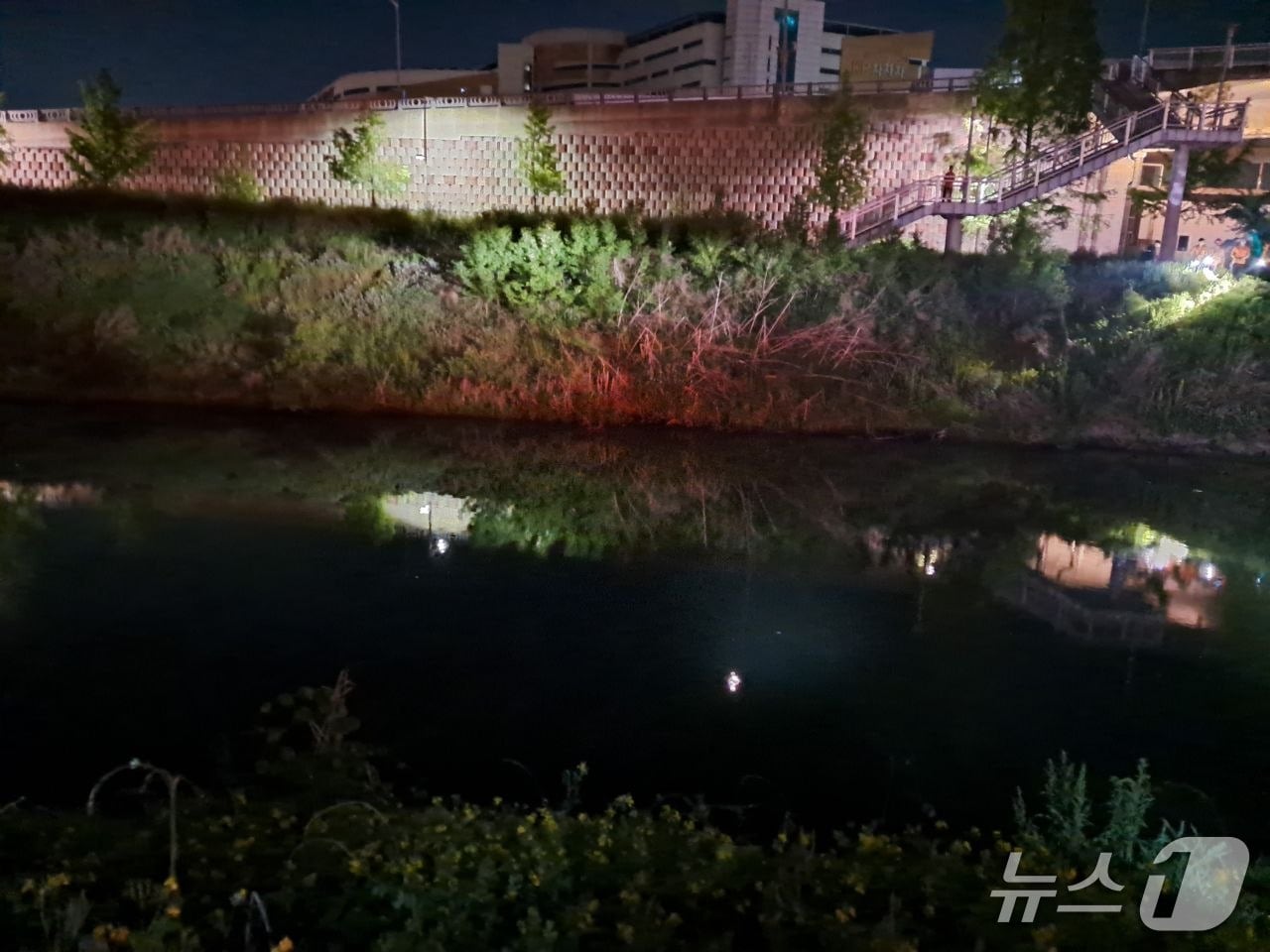 실종 현장. (경기도소방재난본부 제공. 재판매 및 DB 금지) 2026.5.16/뉴스1