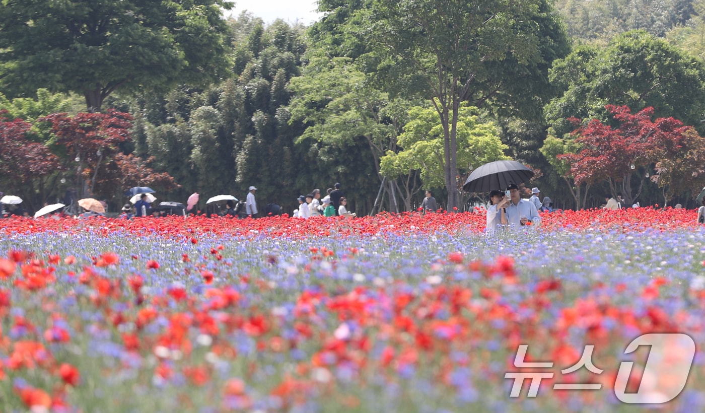 울산 태화강 국가정원. 2026.5.17 ⓒ 뉴스1 조민주 기자
