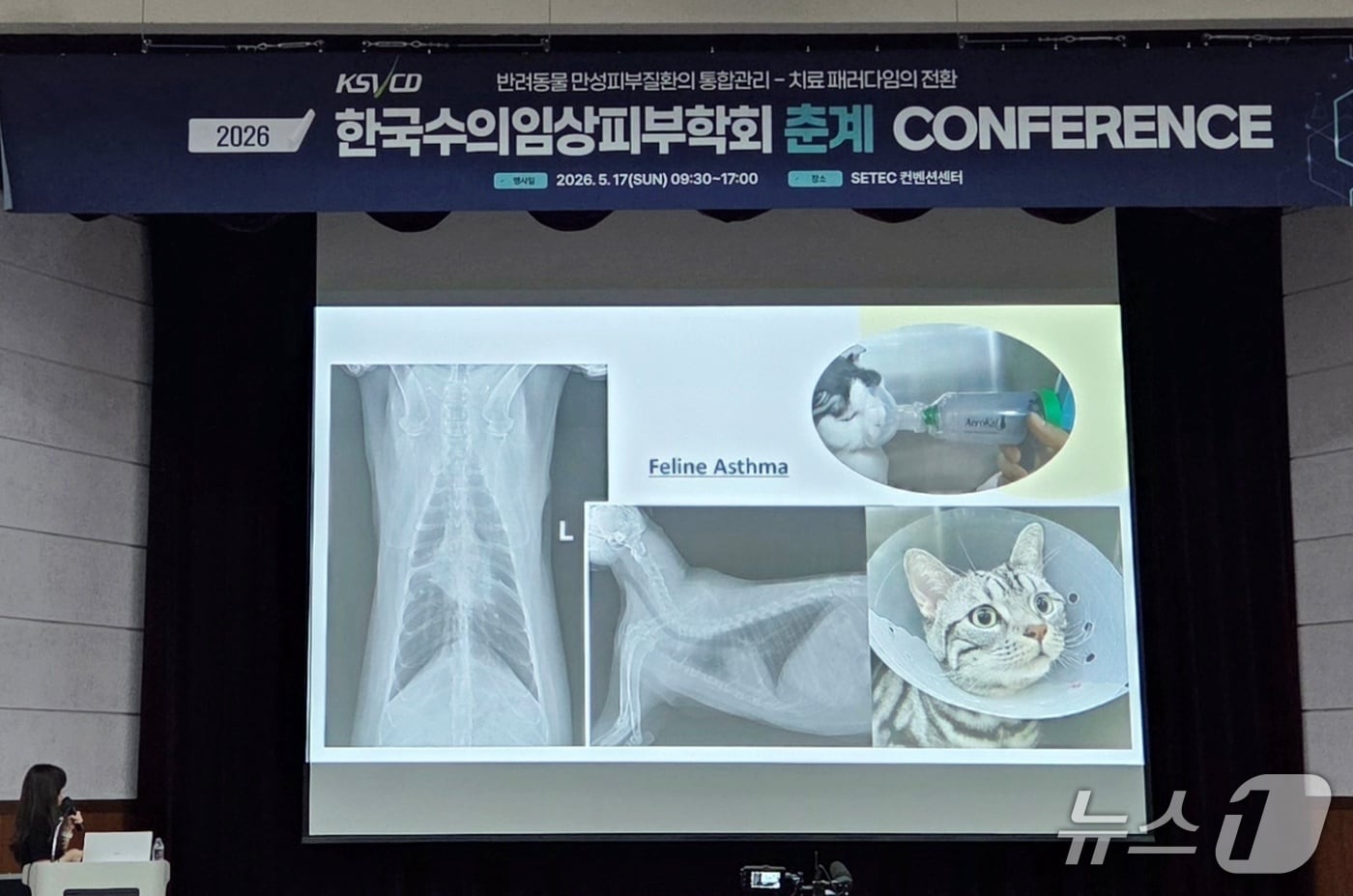 "반려동물 만성피부질환, 통합관리 필요"...최신 치료 트렌드는 - 뉴스 썸네일 이미지