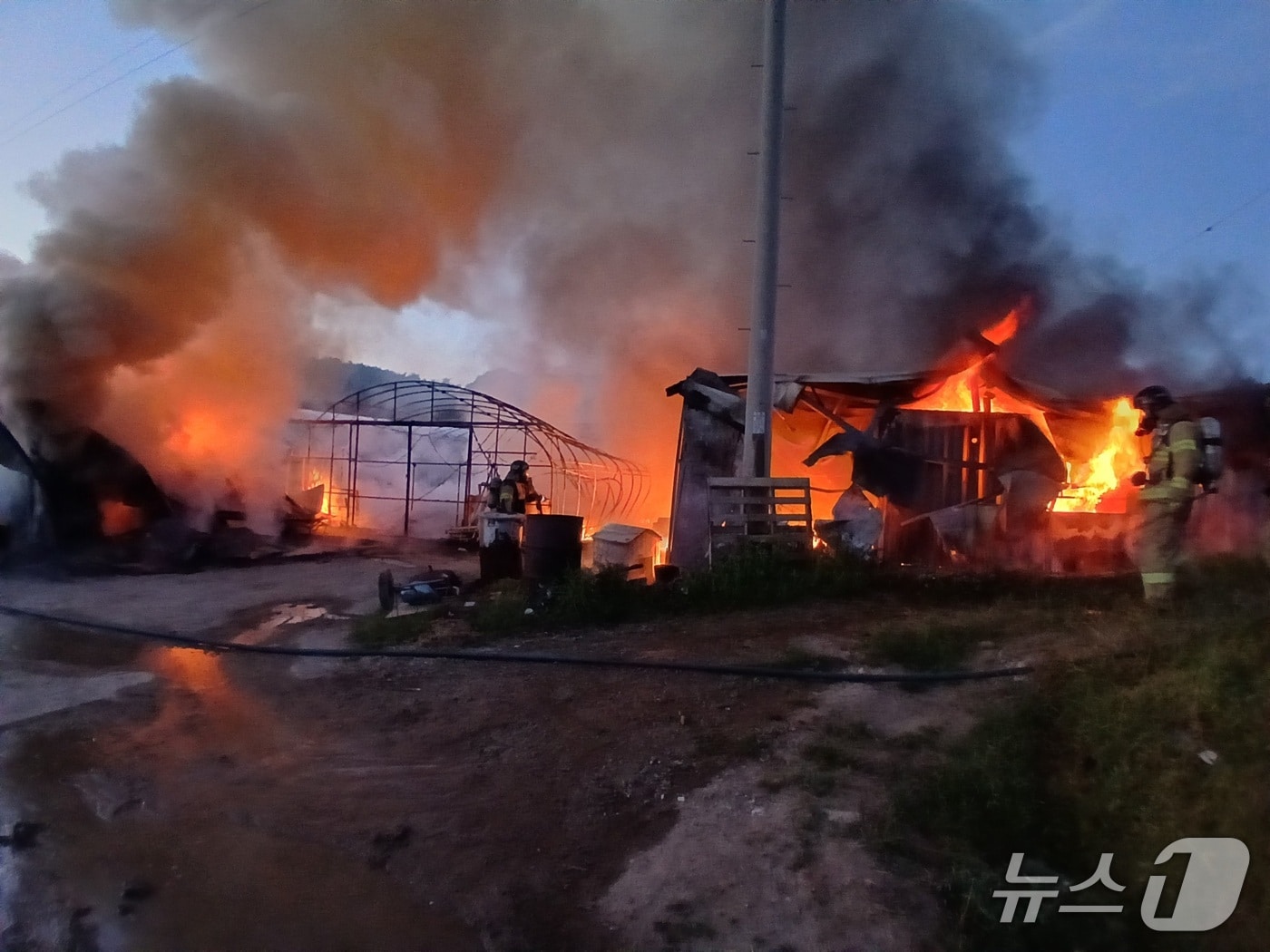 18일 오전 4시 51분께 전북 고창군 아산면의 한 비닐하우스에서 불이 났다.(전북소방본부 제공. 재판매 및 DB금지)