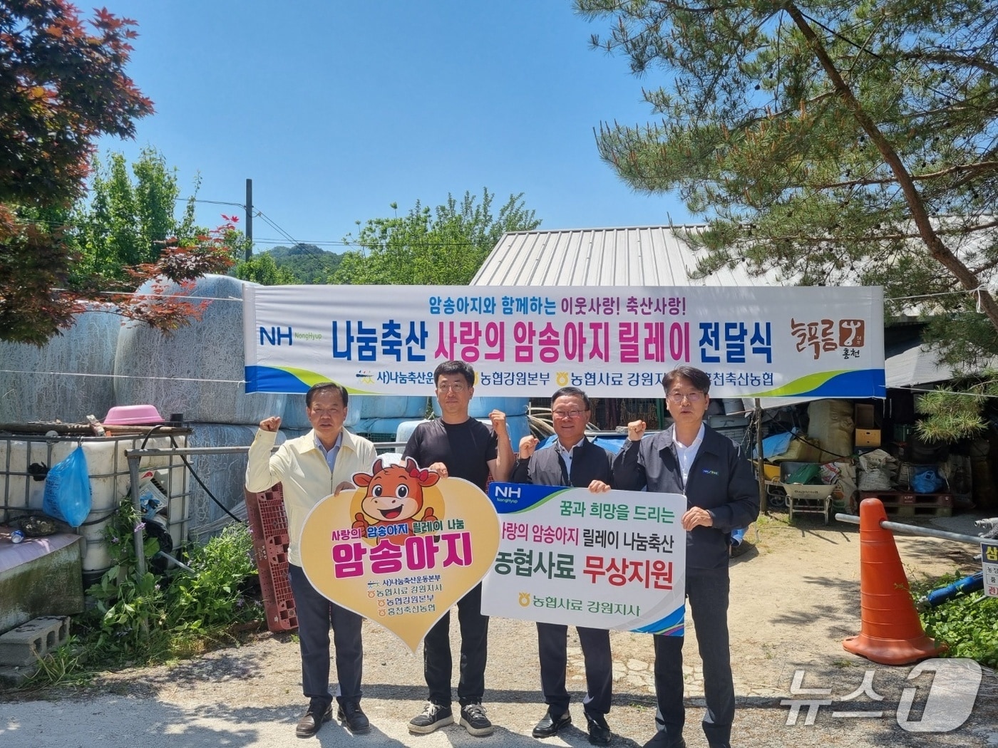 나눔축산 사랑의 암송아지 릴레이 전달식,(농협 강원본부 제공. 재판매 및 DB금지)/뉴스1