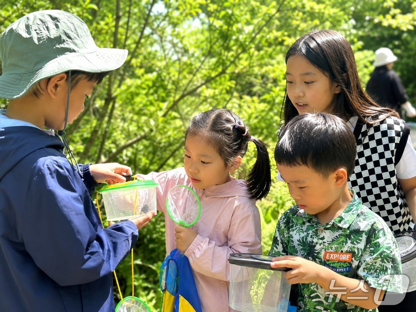 금강공원에서 진행된 공원 자연학교 2.0 프로그램 '찾아라 곤충 친구들'에 참가한 어린이들이 곤충을 채집하고 있다. (부산시설공단 제공. 재판매 및 DB금지)