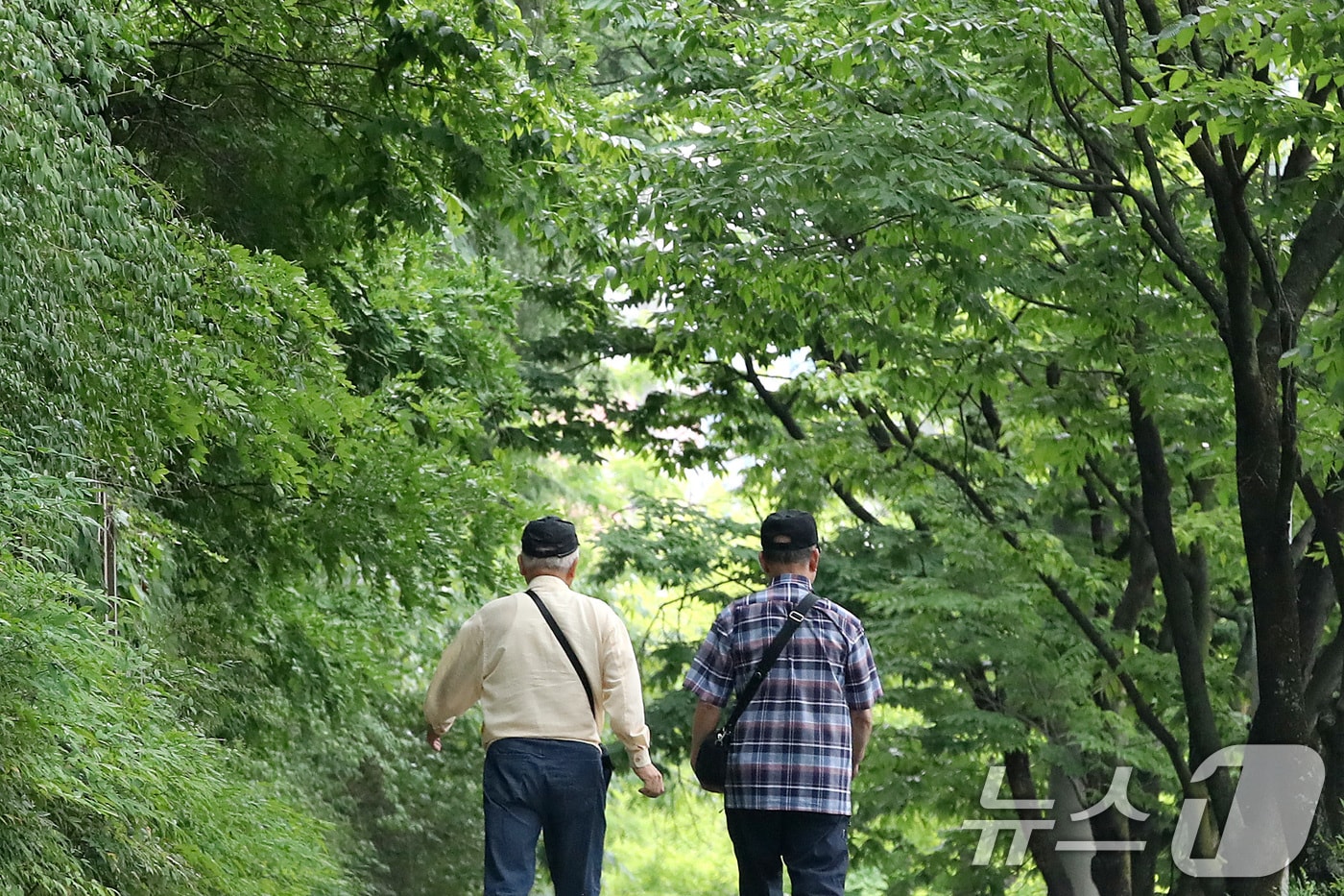 〈자료사진〉