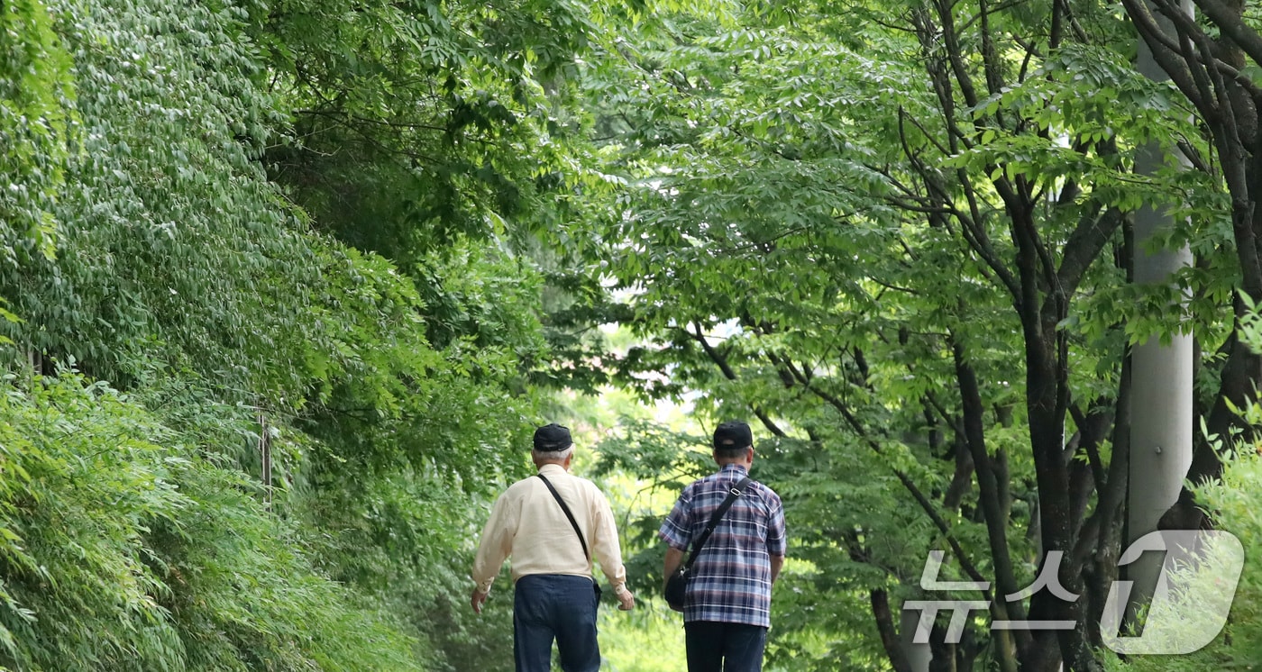 초여름 이른 더위가 이어진 19일 대구 도심에서 노인들이 녹음 짙어가는 가로수길을 걷고 있다. 2026.5.19 ⓒ 뉴스1 공정식 기자