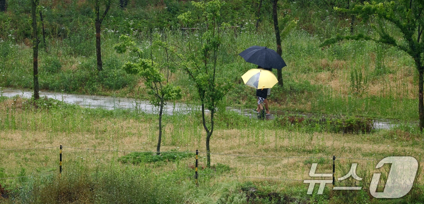 지난 20일 비가 내린 전북 완주군 삼봉로에서 우산을 쓴 시민들이 발걸음을 옮기는 모습. ⓒ 뉴스1 유경석 기자