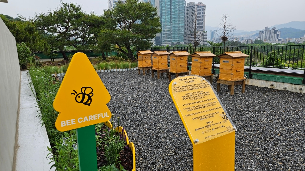 도시양봉장