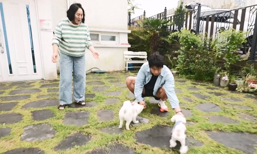 MBC '나 혼자 산다'