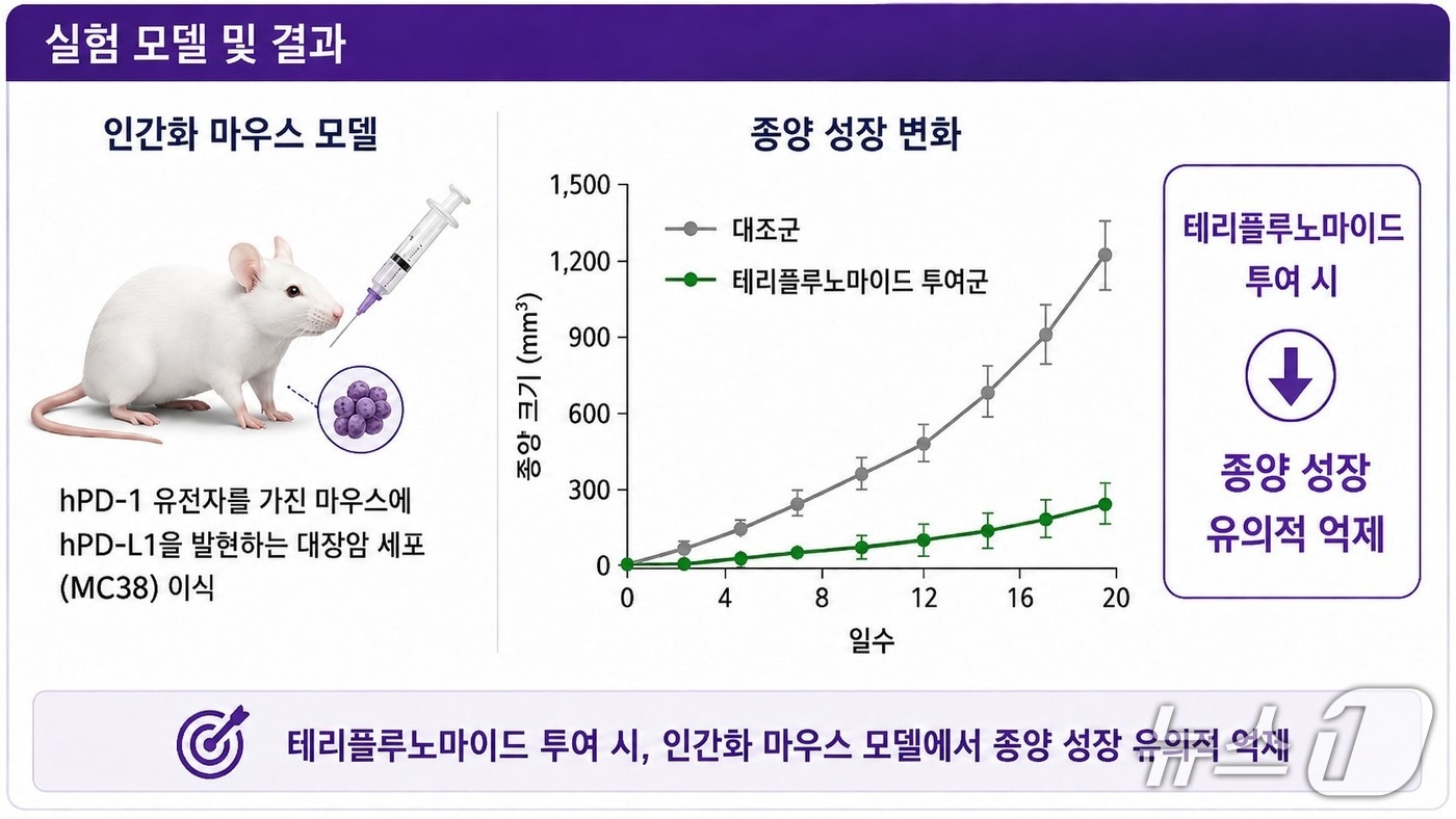 다발성경화증 치료제 '테리플루노마이드'의 대장암 항암 작용 강화 실험 결과(한국한의학연구원 제공) /뉴스1