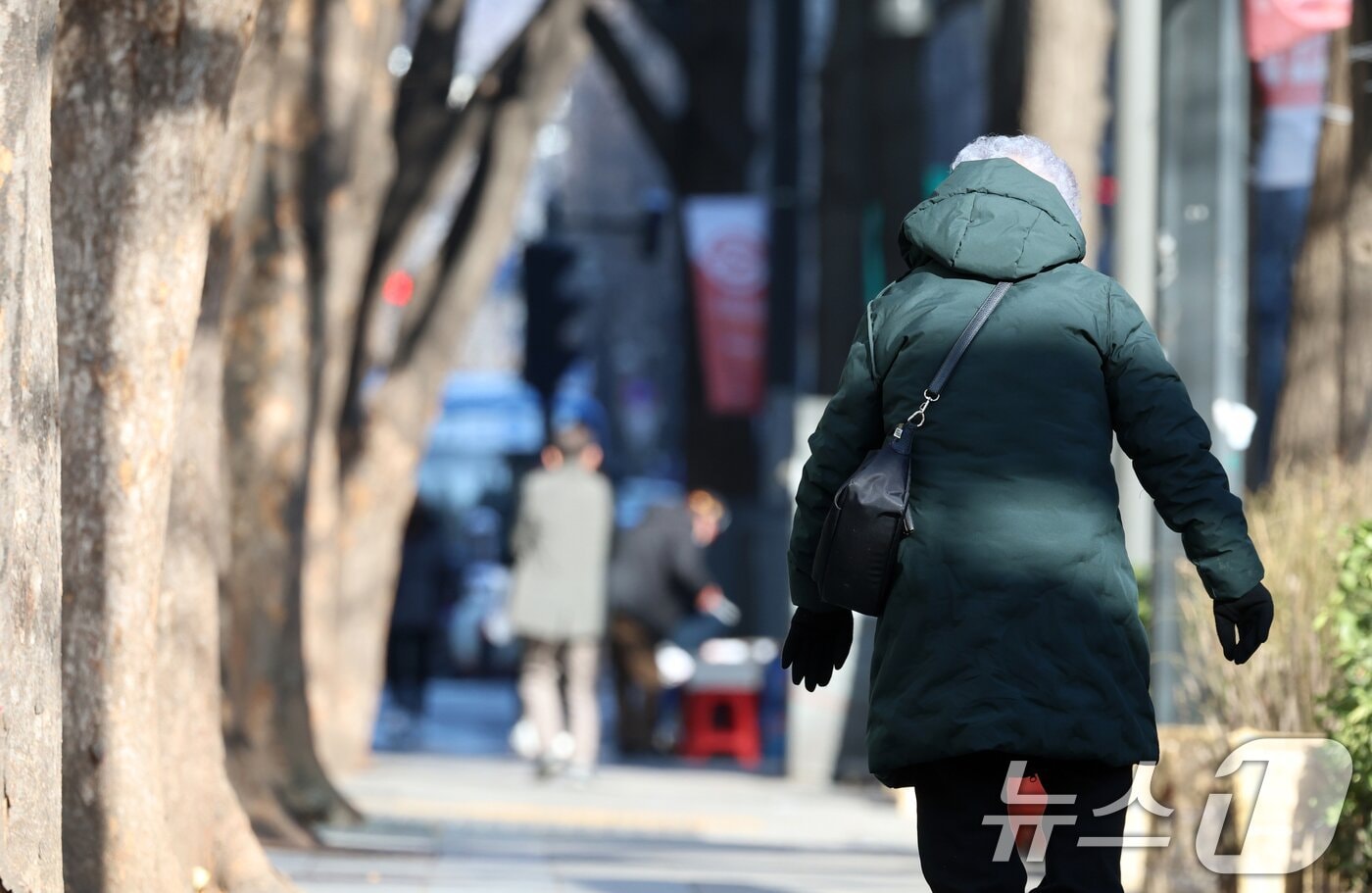 한 노인이 도보를 따라 이동하고 있다. 2025.1.2/뉴스1 ⓒ News1 김명섭 기자