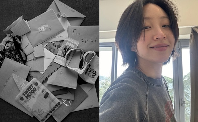 하니 인스타그램