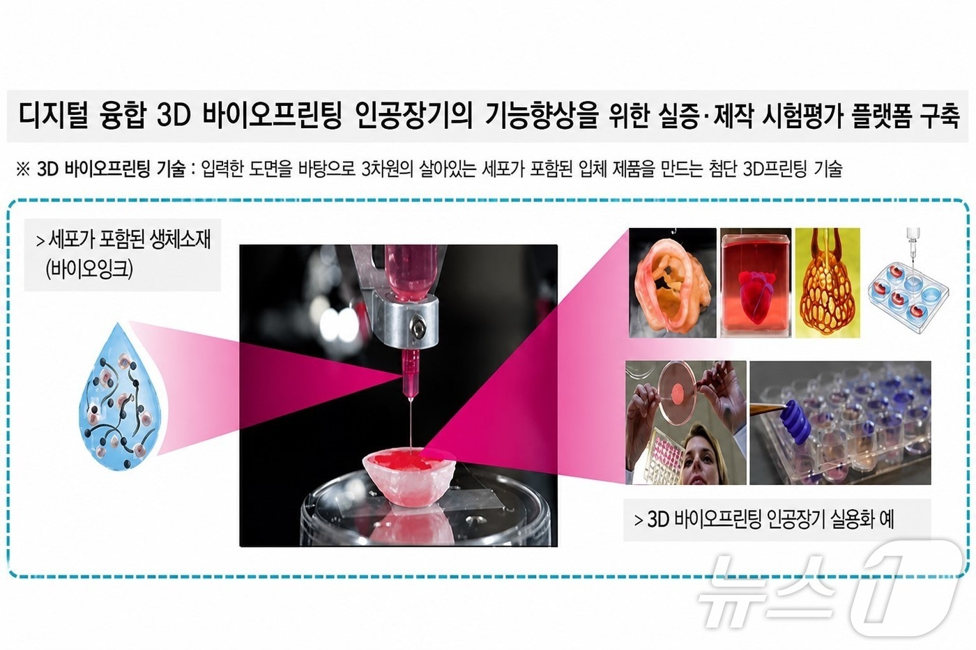 경북도는 지난달 27일 과학기술정보통신부 ‘2026년 제1차 바이오·의료기술개발 공모사업’에 선정돼 5년간 총 341억 원을 투입, 신약과 재생의료 기술 개발에 나선다. ⓒ 뉴스1 김대벽기자