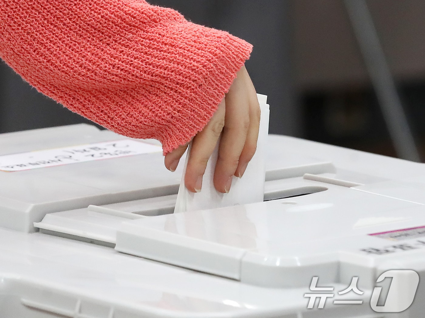 제9회 전국동시지방선거 사전투표 둘째 날인 30일 사전투표소에서 유권자가 소중한 한 표를 행사하고 있다.(자료사진)/뉴스1 DB