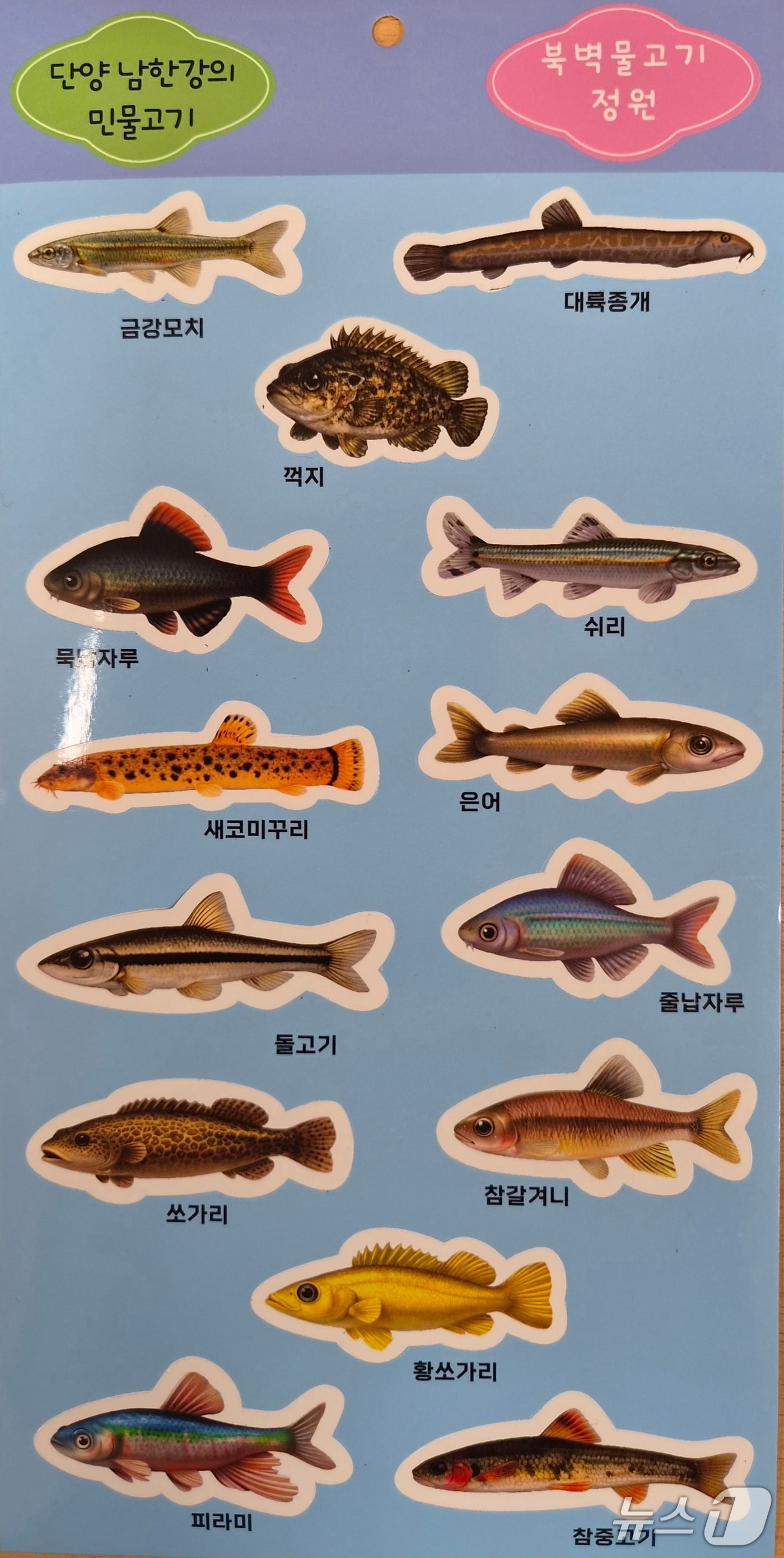 단양 남한강 민물고기 스티커(단양군 제공. 재판매 및 DB금지) 