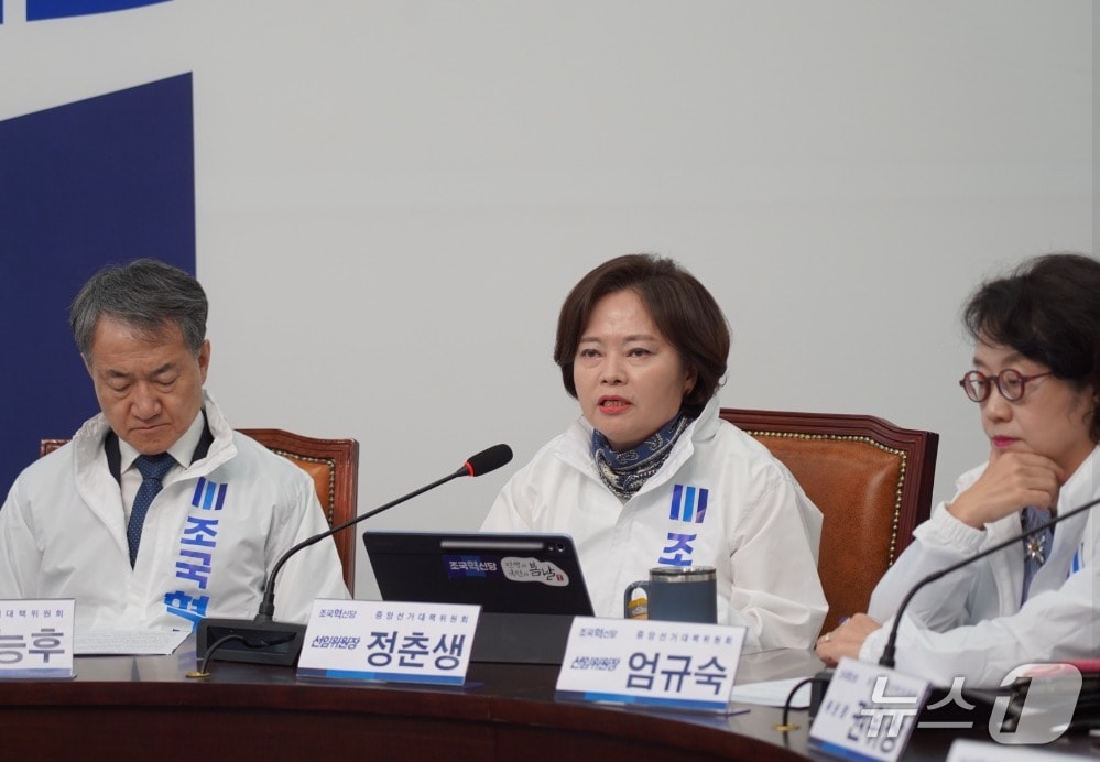 정춘생 조국혁신당 상임선대위원장이 4일 국회에서 열린 선대위 회의에서 발언하는 모습. (SNS 갈무리) ⓒ 뉴스1 