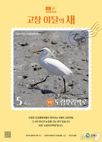 전북 고창군이 5월 이달의 새로 노랑부리백로를 선정했다.(고창군 제공. 재판매 및 DB금지)