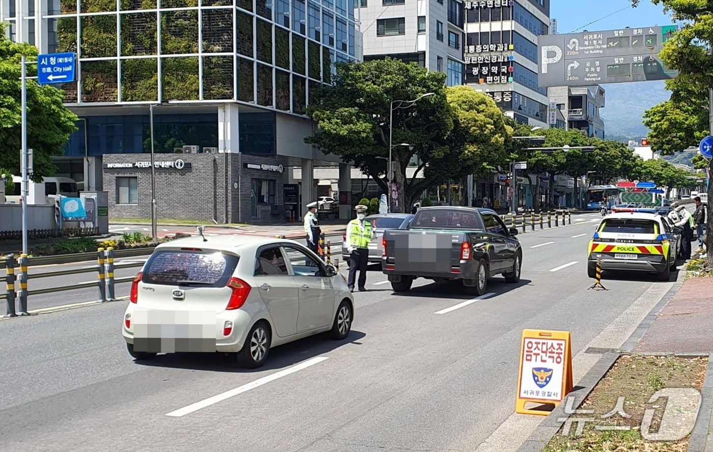 7일 오전 제주 서귀포 중앙로터리에서 진행된 음주운전 단속.(서귀포경찰서 제공. 재판매 및 DB 금지)