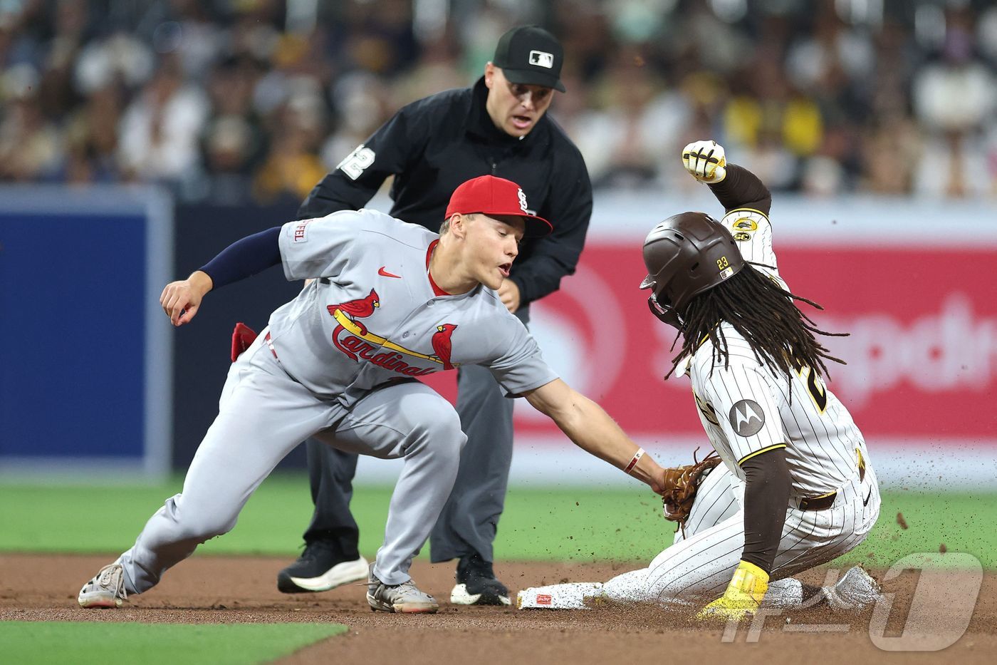 MLB 샌디에이고가 세인트루이스에 패하며 연승 행진이 중단됐다.ⓒ AFP=뉴스1