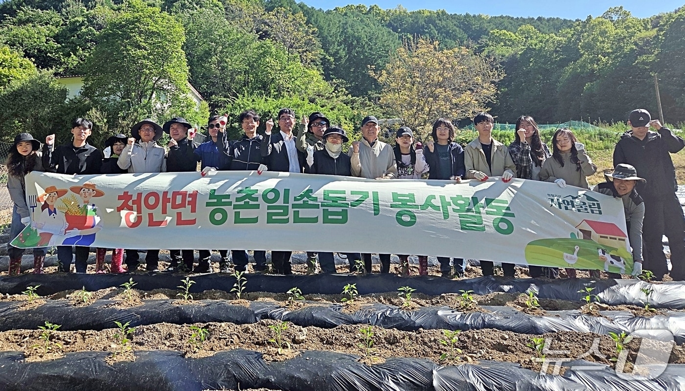 괴산군 재무과와 청안면 농촌일손돕기.(괴산군 제공. 재판매 및 DB금지)/뉴스1