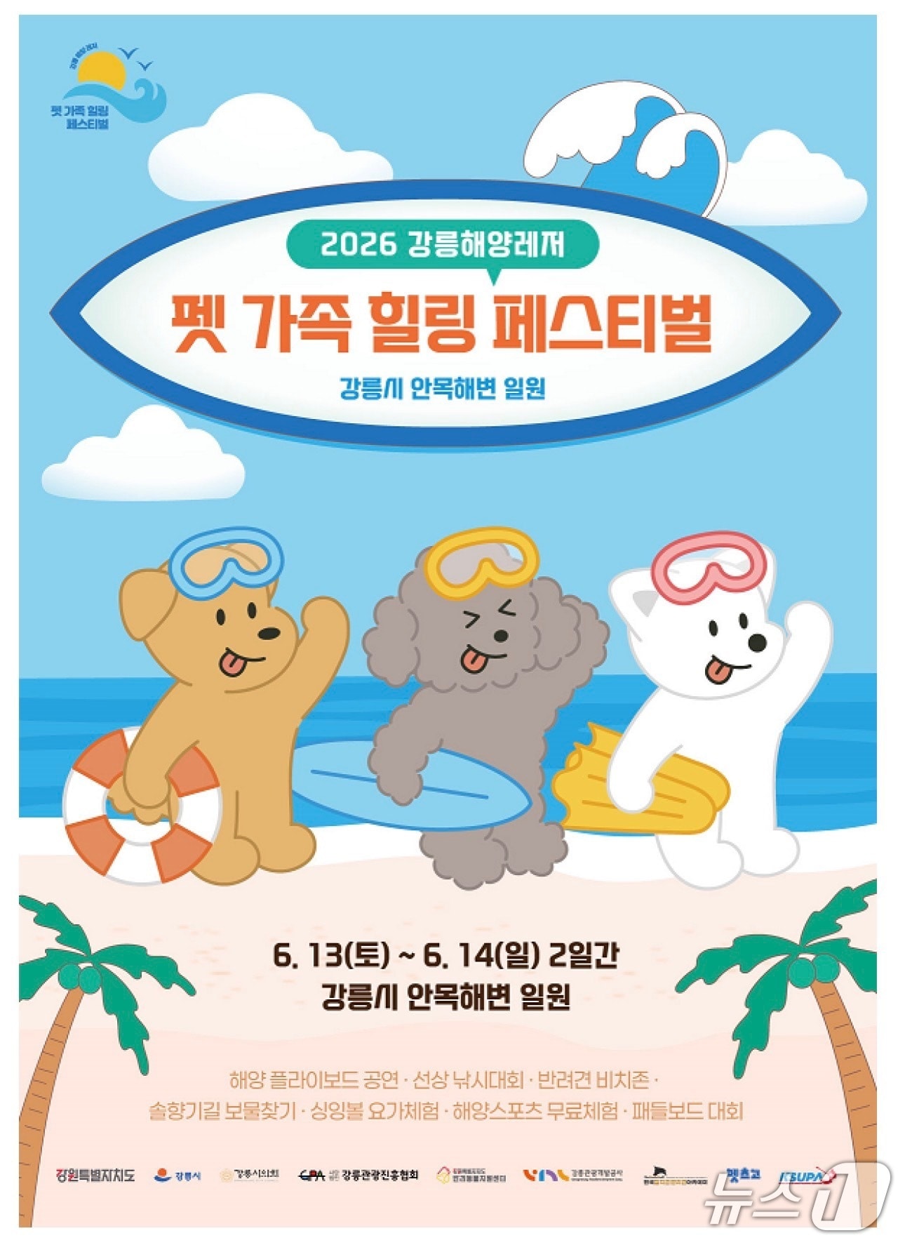 반려견과 바다로…강릉 안목해변서 펫가족 힐링축제