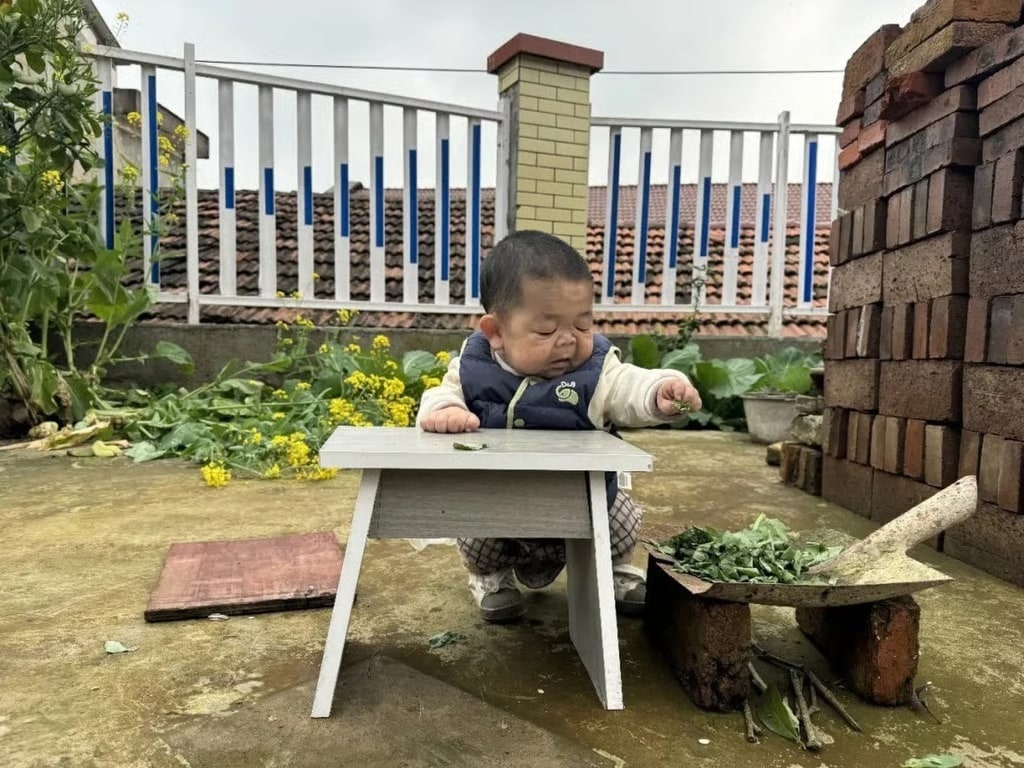SCMP 갈무리