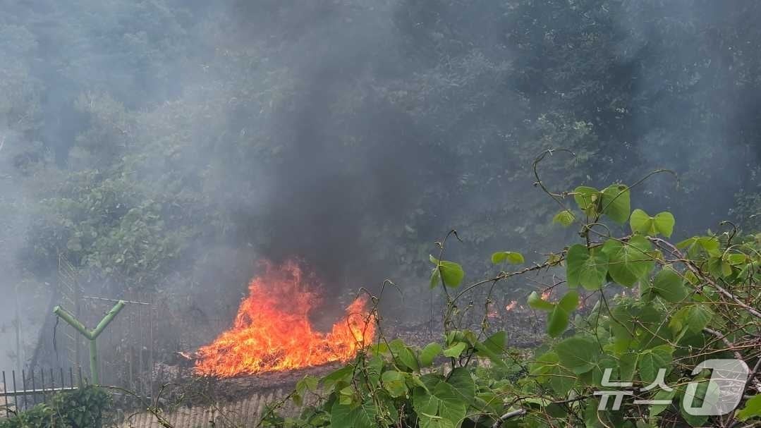 삼척 가곡면 당곡리 산불 현장.(강원도 산불방지대책본부 제공, 재판매 및 DB 금지) 2026.6.11/뉴스1