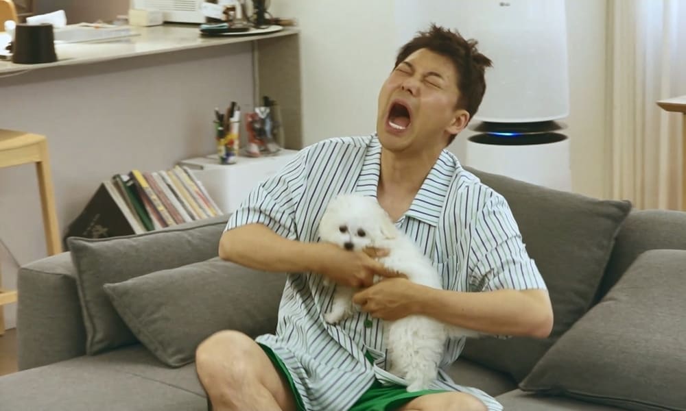 MBC '나 혼자 산다'