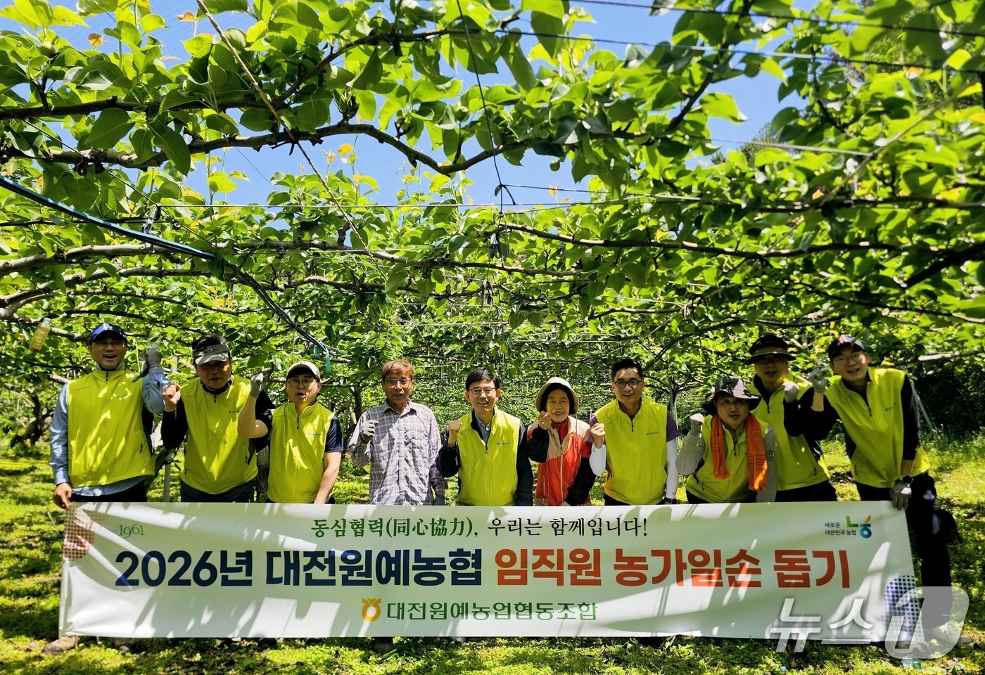 대전원예농협 임직원들이 농가 일손돕기를 실시했다.(대전농협 제공. 재판매 및 DB금지)/뉴스1