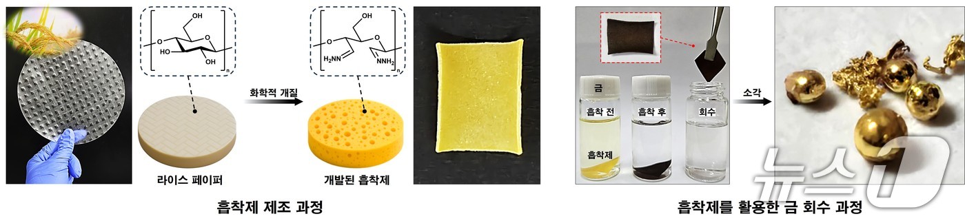 식품 소재 '라이스 페이퍼'를 폐수 속 금 회수하는 흡착제로 전환 - 뉴스 썸네일 이미지
