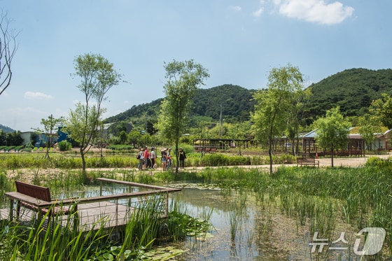 김해 화포천 습지.(김해시 제공. 재판매 및 DB금지)