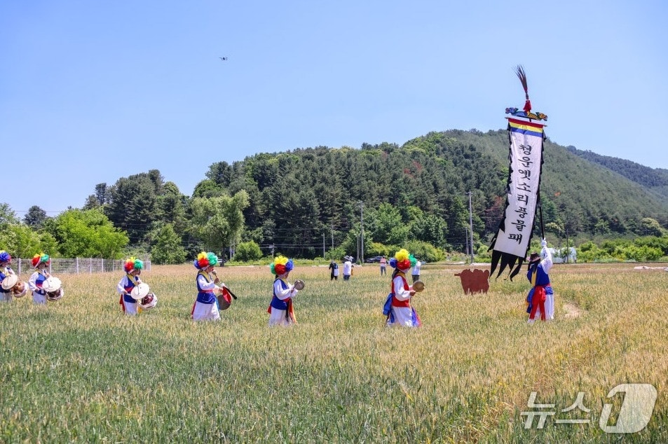 양평 밀 축제.(경기 양평군 제공. 재판매 및 DB 금지)/뉴스1