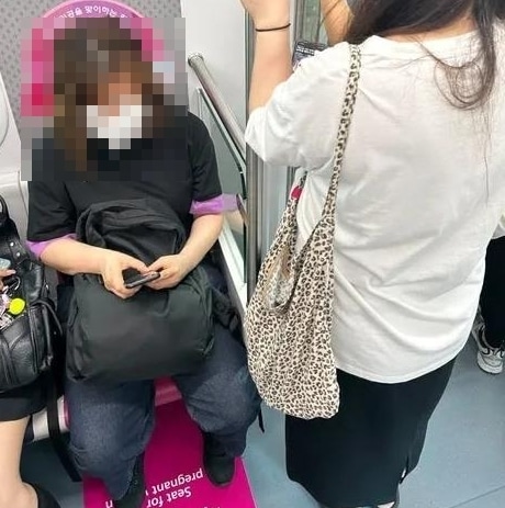 보배드림