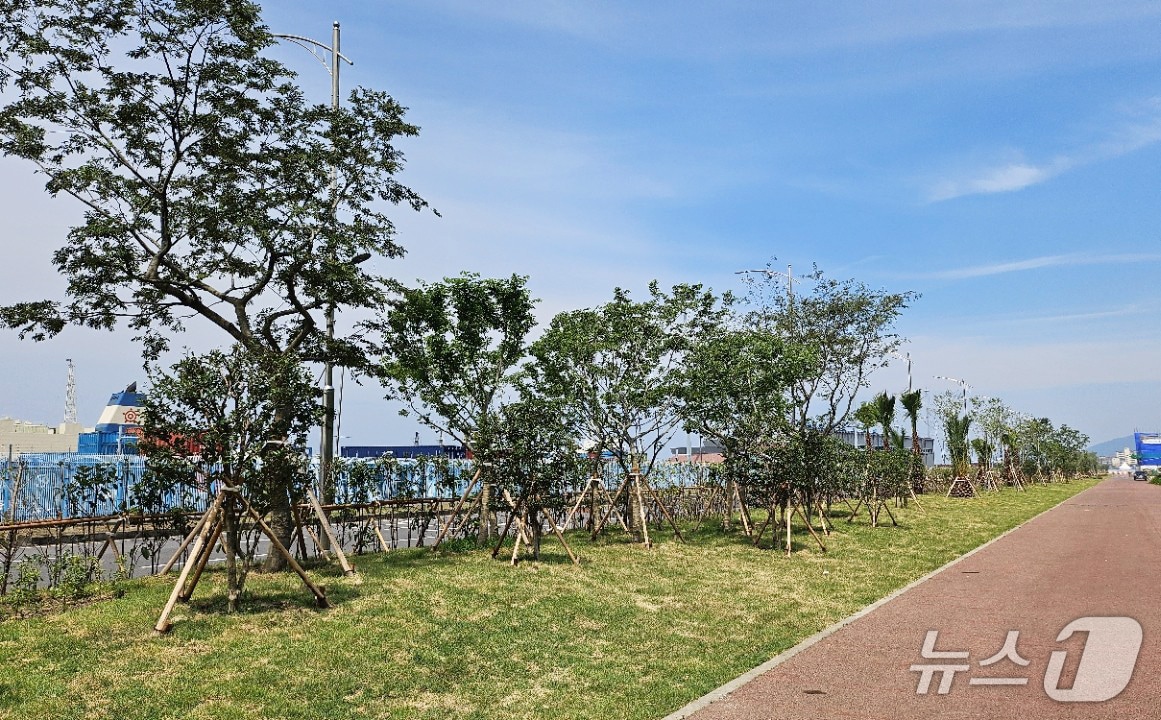 제주항 기후대응 도시숲.(제주시 제공, 재판매 및 DB 금지)