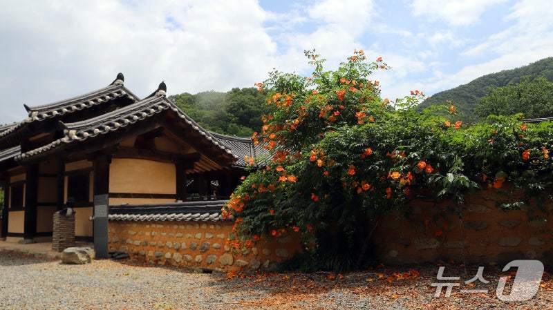 경산시 용성면 난포고택(경산시 제공. 재판매 및 DB금지)/뉴스1