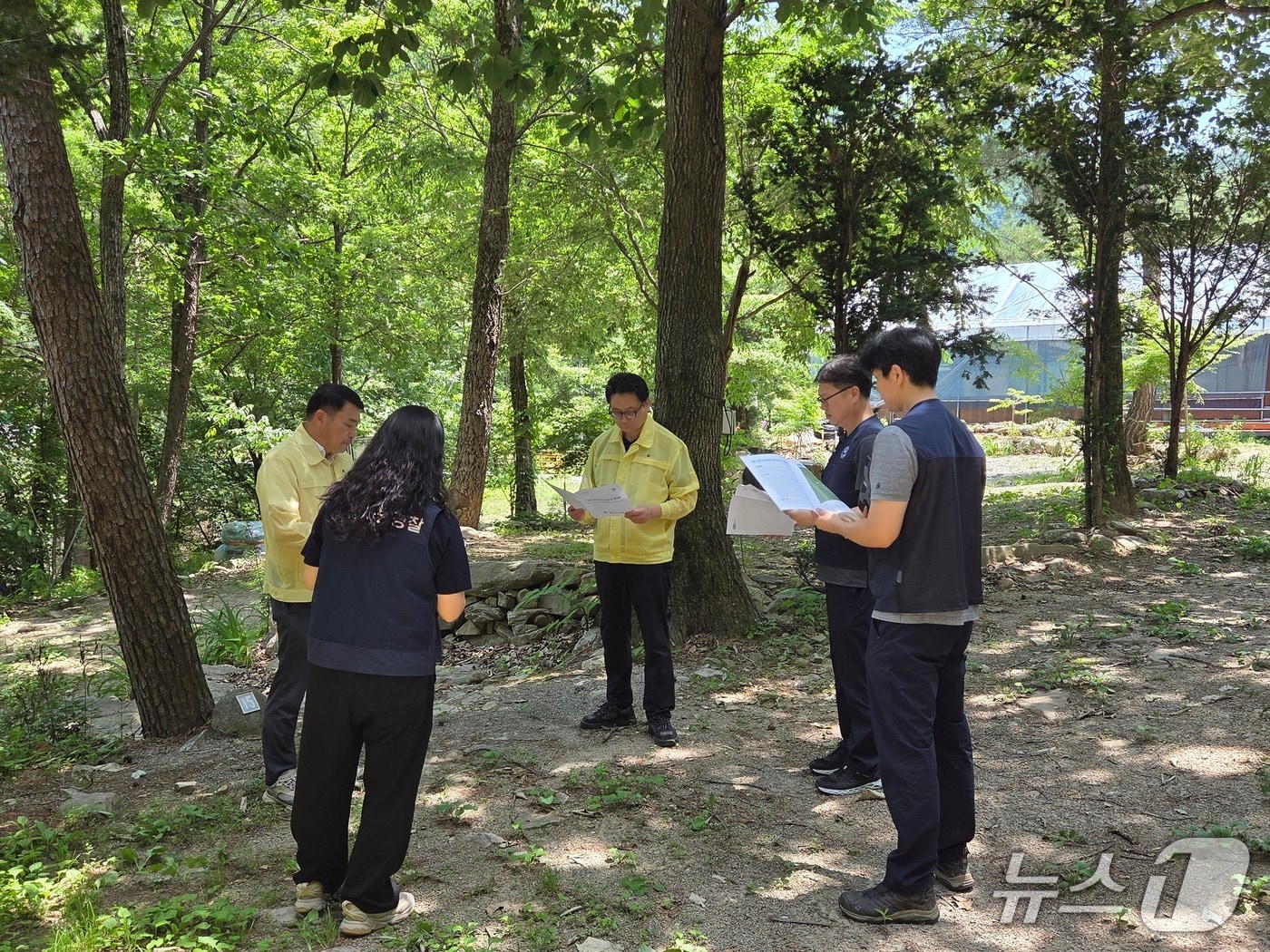 동부지방산림청, 영월 계곡 불법시설 정비현장 점검.(동부산림청 제공, 재판매 및 DB 금지) 2026.6.16/뉴스1