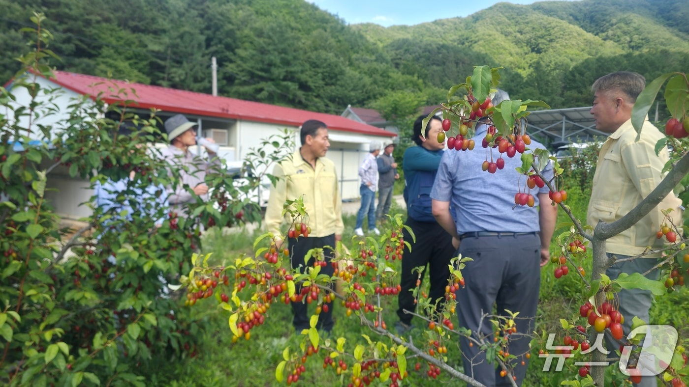 16일 전춘성 전북 진안군수가 농업 현장을 방문해 가뭄 대책을 점검하고 있다.(진안군제공, 재판매 및 DB금지)2026.6.16/뉴스1