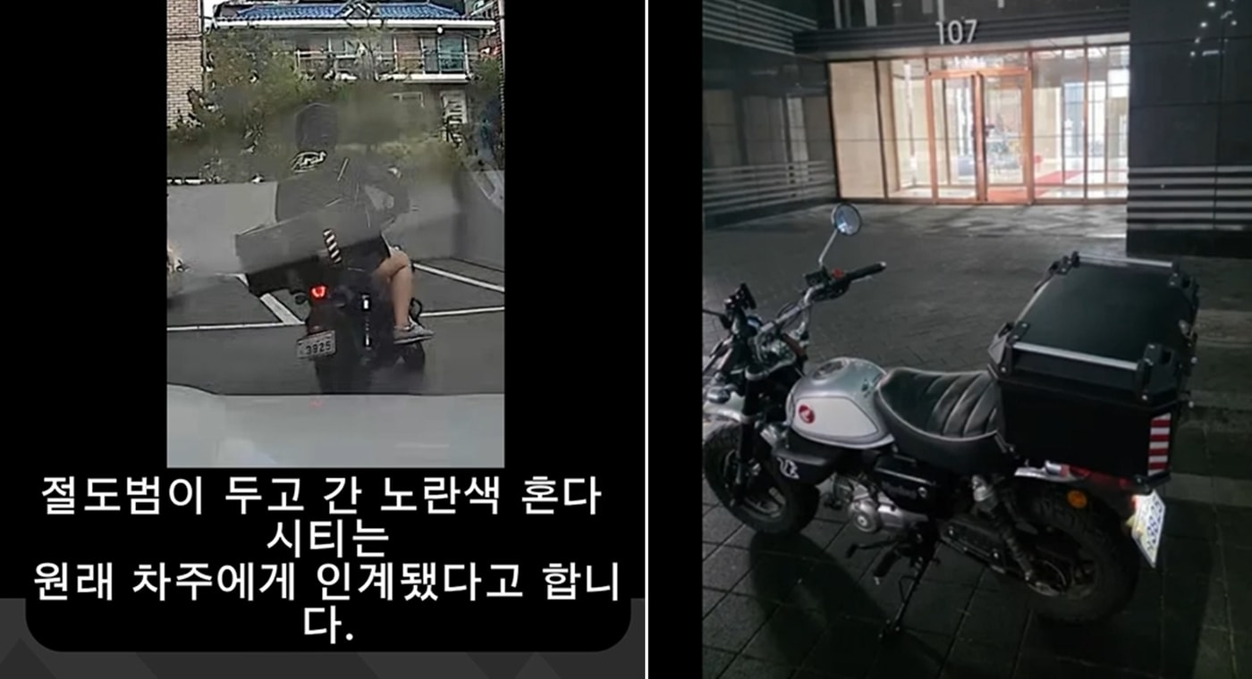 보배드림